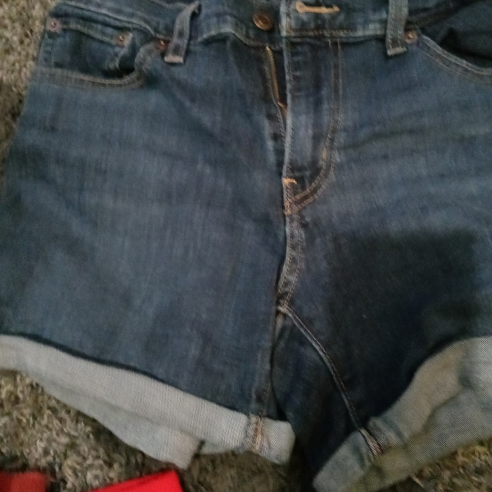 Shorts - Picture 4 of 4